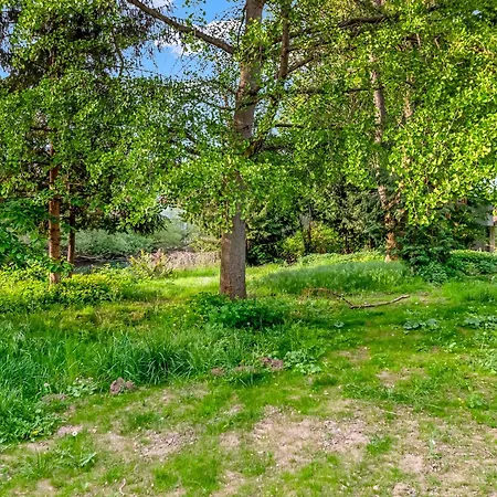 Апартаменты Grosse Altbau I 3 Schlafzimmer I 2 Terrassen I Zentral I 8 Personen *