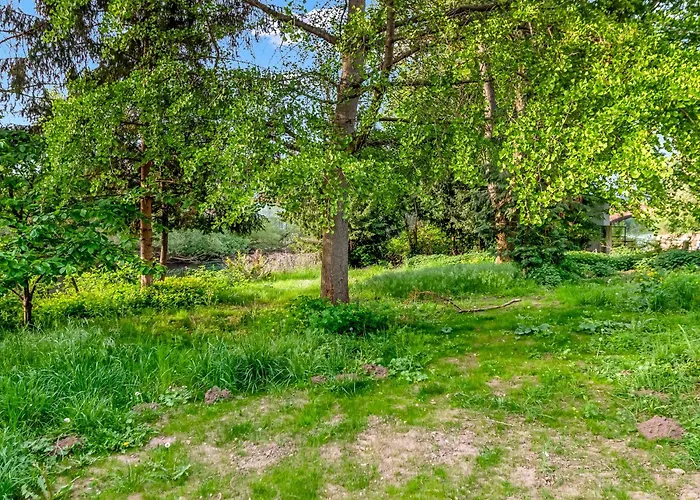 公寓 Grosse Altbau I 3 Schlafzimmer I 2 Terrassen I Zentral I 8 Personen *