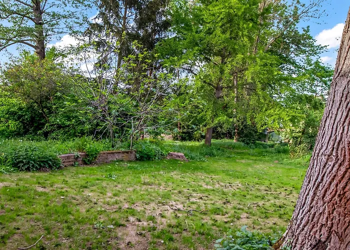 Grosse Altbau I 3 Schlafzimmer I 2 Terrassen I Zentral I 8 Personen